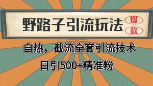 抖音小红书视频号全平台引流打法,全自动引流日引2000+精准客户-必智轻创社