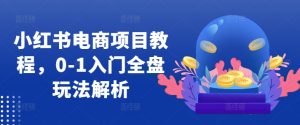 小红书电商项目教程，0-1入门全盘玩法解析-必智轻创社