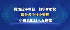 最燃蓝海项目  数字IP孵化  适合各个行业变现  小白也能日入5位数-必智轻创社