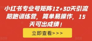 小红书专业号矩阵12+30天引流陪跑训练营,简单易操作,15天可出成绩!-必智轻创社