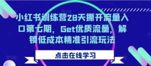 小红书训练营28天撕开流量入口第七期,Get优质流量,解锁低成本精准引流玩法-必智轻创社