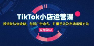 TikTok小店运营课：投流技法全攻略，包括广告命名 扩量手法及市场运营方法-必智轻创社
