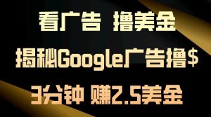 看广告，撸美金！3分钟赚2.5美金！日入200美金不是梦！揭秘Google广告…-必智轻创社