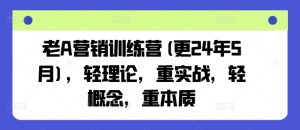 老A营销训练营(更24年10月)，轻理论，重实战，轻概念，重本质-必智轻创社