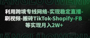 利用跨境专线网络-实现稳定直播-刷视频-搬砖TikTok-Shopify-FB等实现月入2W+-必智轻创社
