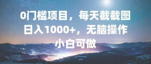0门槛项目,每天截截图,日入1000+,轻松无脑,小白可做-必智轻创社