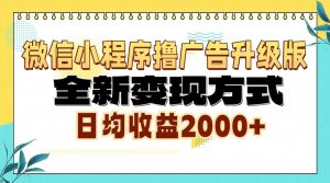 微信小程序撸广告升级版,全新变现方式,日均收益2000+-必智轻创社