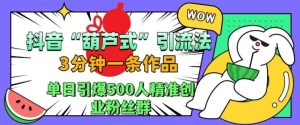 抖音葫芦式引流法,三分钟一条作品,单日引爆抖音500人精准创业粉丝群-必智轻创社