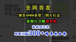 小红书“预算4980带我飞”图片打法,一张图片引爆创业粉,私信回不完,单条引流300+精准创业粉-必智轻创社