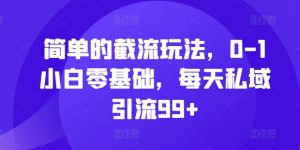 简单的截流玩法,0-1小白零基础,每天私域引流99+-必智轻创社