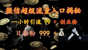 微信超级流量入口揭秘:一小时引流 99 + 创业粉,日涨粉 999 +-必智轻创社