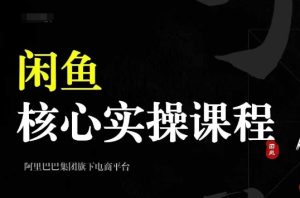 2024闲鱼核心实操课程，从养号、选品、发布、销售，教你做一个出单的闲鱼号-必智轻创社
