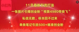 小红书11月最新图片打粉,一张图片引爆创业粉,“预算4980带我飞”,单条引流500+精准创业粉-必智轻创社