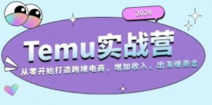 2024Temu实战营：从零开始打造跨境电商，增加收入，出海赚美金-必智轻创社