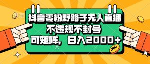 抖音零粉野路子无人直播,不违规不封号,可矩阵,日入2000+-必智轻创社