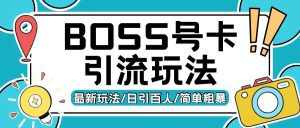 Boss直聘流量卡引流变现玩法，日引200+创业粉-必智轻创社