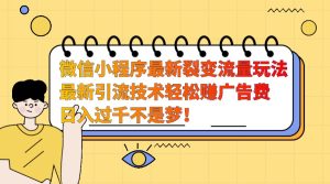 微信小程序最新裂变流量玩法,时间自由收益高轻松赚广告费,日入过千不是梦!-必智轻创社