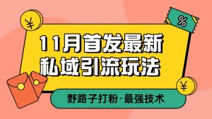 11月首发最新私域引流玩法，自动克隆爆款一键改写截流自热一体化 日引300+精准粉-必智轻创社