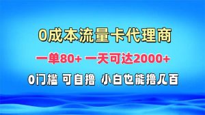 免费流量卡代理一单80+ 一天可达2000+-必智轻创社