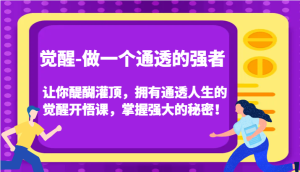 认知觉醒,让你醍醐灌顶拥有通透人生,掌握强大的秘密!觉醒开悟课(更新)-必智轻创社