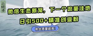 微信生态新宠小绿书:下一个流量洼地,日引500+精准创业粉,粉丝质量超高-必智轻创社