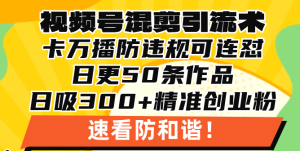 视频号混剪引流技术，500万播放引流17000创业粉，操作简单当天学会-必智轻创社