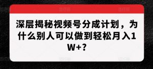 深层揭秘视频号分成计划,为什么别人可以做到轻松月入1W+?-必智轻创社