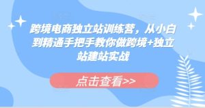 跨境电商独立站训练营,从小白到精通手把手教你做跨境+独立站建站实战-必智轻创社