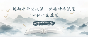 视频号带货玩法，抓住精准流量，5分钟一条原创，小白也能轻松每天500+！-必智轻创社