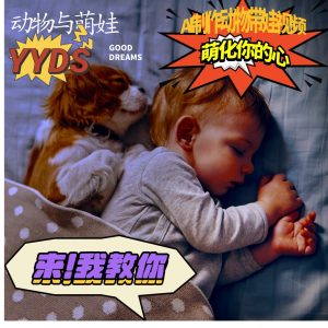 AI制作动物与萌娃互动视频，瞬间萌化你的心，粉丝大米一起收货！-必智轻创社