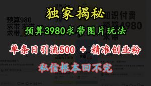 预算3980求带 图片玩法，单条日引流500+精准创业粉，私信根本回不完-必智轻创社
