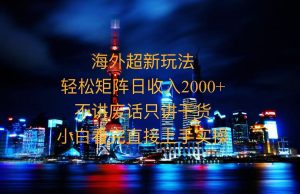 2025全新海外暴力玩法，操作简单，小白轻松上手-必智轻创社