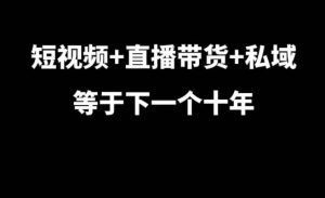 短视频+直播带货+私域等于下一个十年,大佬7年实战经验总结-必智轻创社