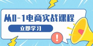 从零做电商实战课程,教你如何获取访客、选品布局,搭建基础运营团队-必智轻创社