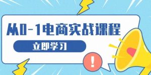 从零做电商实战课程,教你如何获取访客、选品布局,搭建基础运营团队-必智轻创社