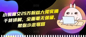 小说推文25万粉丝大佬实操干货讲解，全面毫无保留，帮你少走弯路-必智轻创社