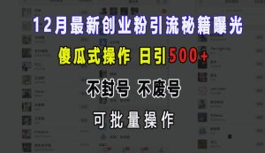 12月最新创业粉引流秘籍曝光 傻瓜式操作 日引500+ 不封号 不废号 可批量操作-必智轻创社