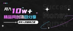 月入十万+的网创项目分享,成年人的最快翻身之道-必智轻创社