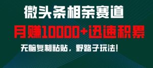 微头条相亲赛道,迅速积累,无脑复制粘贴,野路子玩法,月入1w-必智轻创社