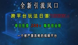 全新引流风口，跨平台玩法日入上k，单日狂揽200+精准创业粉，一个被严重忽略的视频平台-必智轻创社