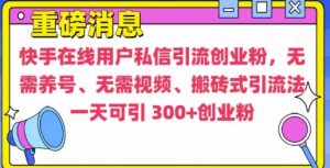快手最新引流创业粉方法,无需养号、无需视频、搬砖式引流法-必智轻创社