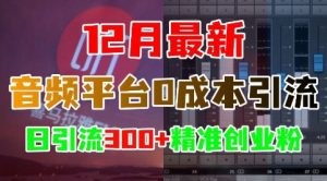 12月最新：音频平台0成本引流，日引流300+精准创业粉-必智轻创社