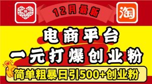 12月最新:电商平台1元打爆创业粉,简单粗暴日引500+精准创业粉,轻松月入过W-必智轻创社