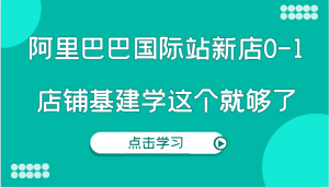 阿里巴巴国际站新店0-1,个人实践实操录制从0-1基建,店铺基建学这个就够了-必智轻创社