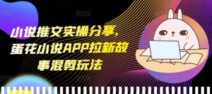 小说推文实操分享，蛋花小说APP拉新故事混剪玩法-必智轻创社