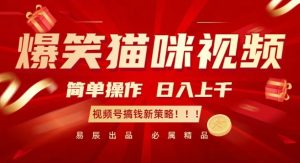 爆笑猫咪视频：简单操作，日入过K，视频号搞钱新策略-必智轻创社