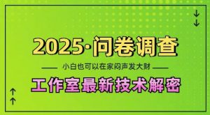 2025问卷调查最新工作室技术解密:一个人在家也可以闷声发大财,小白一天2张,可矩阵放大-必智轻创社