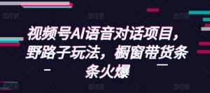 视频号AI语音对话项目，野路子玩法，橱窗带货条条火爆-必智轻创社