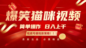 爆笑猫咪视频:简单操作,日入过千,视频号搞钱新策略!-必智轻创社