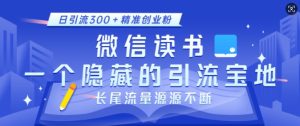 微信读书，一个隐藏的引流宝地，不为人知的小众打法，日引流300+精准创业粉，长尾流量源源不断-必智轻创社